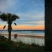 Experience the Best of Daytona Beach: Sun, Sand, and Speedway Thrills
