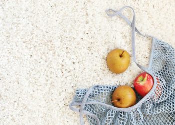 Keep Northern Beaches Homes Beautiful: Salt-Resistant Carpet Cleaning