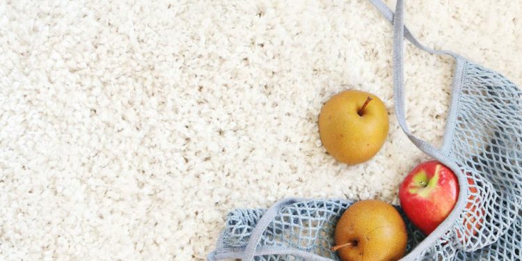 Keep Northern Beaches Homes Beautiful: Salt-Resistant Carpet Cleaning