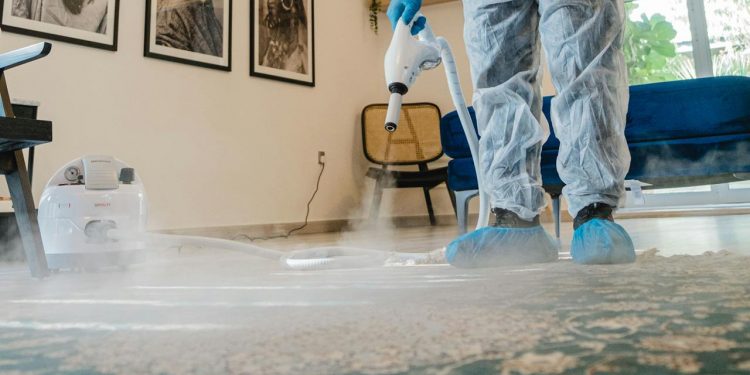 The North Shore Carpet Cleaning Experience: An Insightful Journey