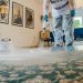 The North Shore Carpet Cleaning Experience: An Insightful Journey