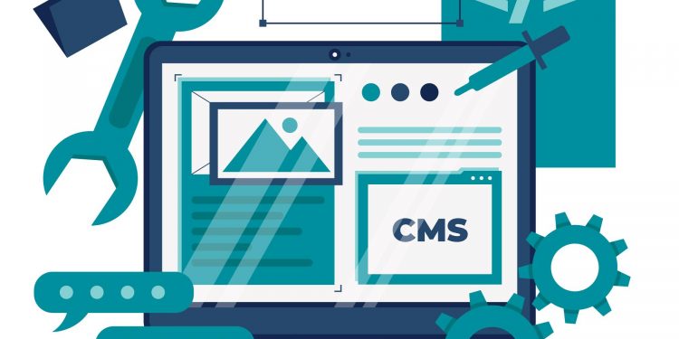 Corporate Risk Management and the Selection of an Effective PPM Software Tool