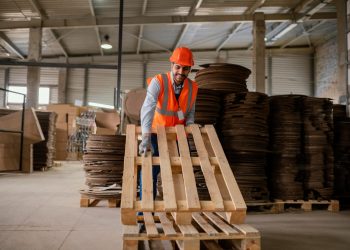 The Economic Impact of Pallet Suppliers on London’s Economy: A Case Study of CM Pallets