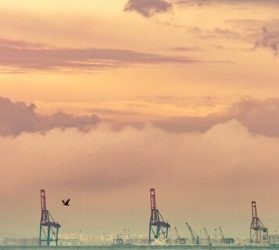 The New Gulfcoastchems