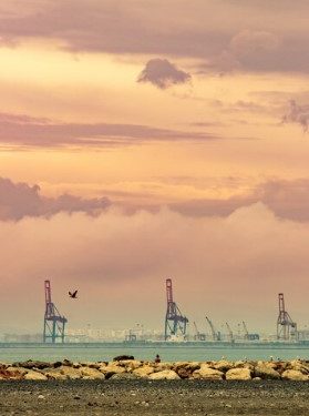 The New Gulfcoastchems