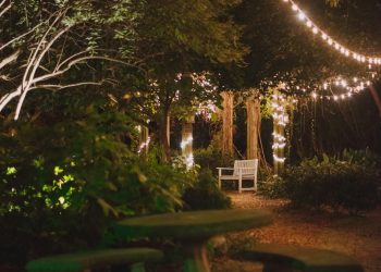 Illuminating Elegance: The Enchantment of Fairy Lights