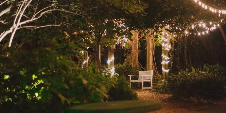 Illuminating Elegance: The Enchantment of Fairy Lights