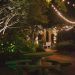 Illuminating Elegance: The Enchantment of Fairy Lights