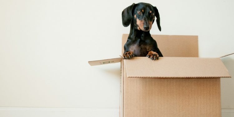 Top 10 Moving Tips to Make Your Transition Smoother