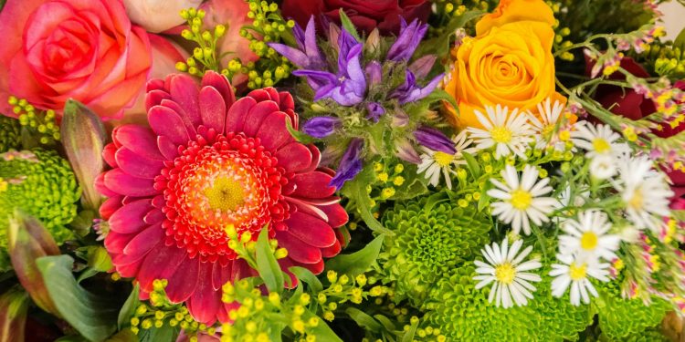 8 Colorful Flowers to Brighten Up Your Day