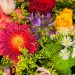 8 Colorful Flowers to Brighten Up Your Day