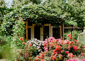 Eco-Friendly Gardening: How Native Plants Can Reduce Your Environmental Footprint