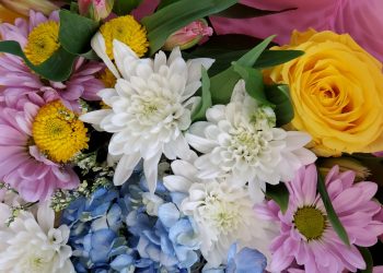 Discover the Charm of Notting Hill with Floralhub: Your Local Florist