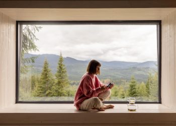 Revitalize Your Space: The Irresistible Charm of Clean Windows
