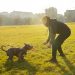 Unleashing Your Dog’s Potential: A Journey Through Positive Reinforcement Training