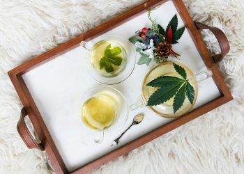 CBD Trends in 2024: What to Expect in the New Year