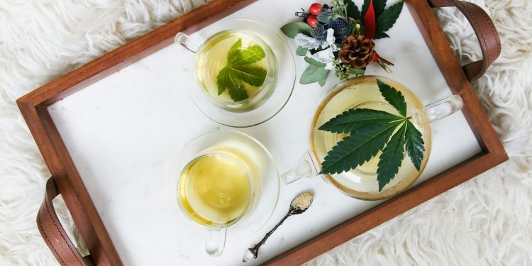 CBD Trends in 2024: What to Expect in the New Year