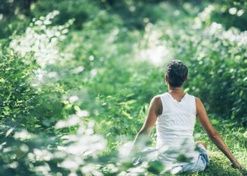 The Hoffman Process: A Deep Dive into Media Perspectives