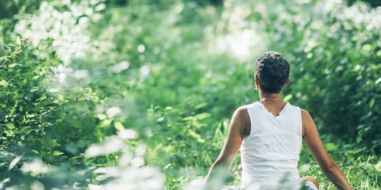 The Hoffman Process: A Deep Dive into Media Perspectives