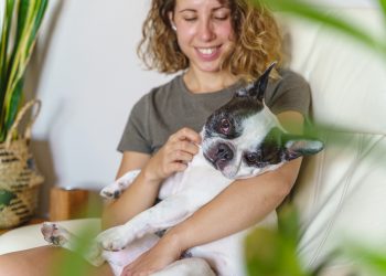 Essential Pet Wellness Services Every Pet Owner Should Know About