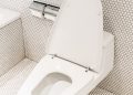 How to Prevent Rust Stains in Your Toilet: A Homeowner’s Guide