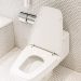 How to Prevent Rust Stains in Your Toilet: A Homeowner’s Guide