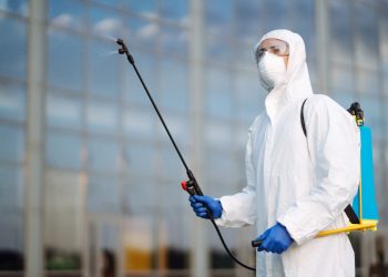 Eco-Friendly Pest Control Solutions for Huntsville Homes and Gardens