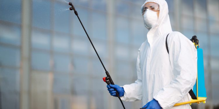 Eco-Friendly Pest Control Solutions for Huntsville Homes and Gardens