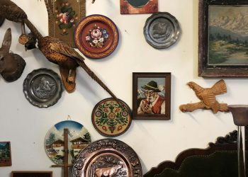 Creel Taxidermy: Preserving Nature’s Beauty