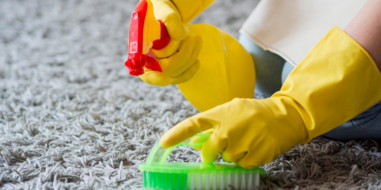 The Ultimate Guide to Rug Cleaning in Melbourne: Professional Care with Pickup and Return Services