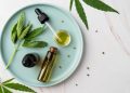 The Power of Full Spectrum CBD Oil: A Comprehensive Guide