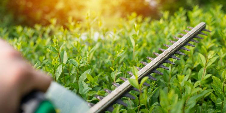 Elevate Your Outdoor Space In Glendale, AZ: AZ Grass Pros’ Artificial Grass and Turfing Services