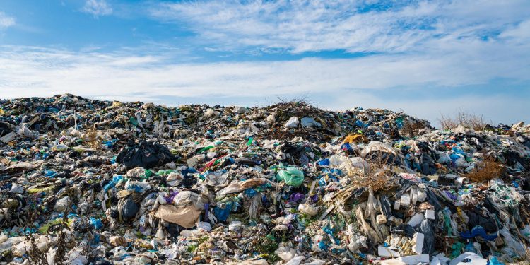 Achieving Zero Waste to Landfill: A Practical Guide for Businesses