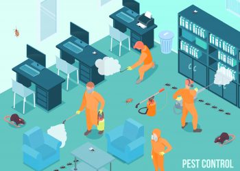 The Critical Role of Professional Pest Control in Urban Environments
