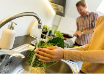 Eco-Friendly Plumbing Solutions: How to Save Water and Energy