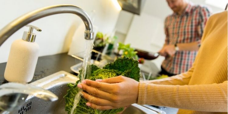 Eco-Friendly Plumbing Solutions: How to Save Water and Energy