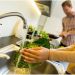 Eco-Friendly Plumbing Solutions: How to Save Water and Energy