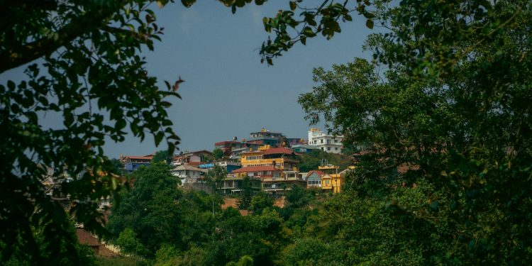 Self-Guided Tours vs. Guided Tours in Coorg: Pros and Cons