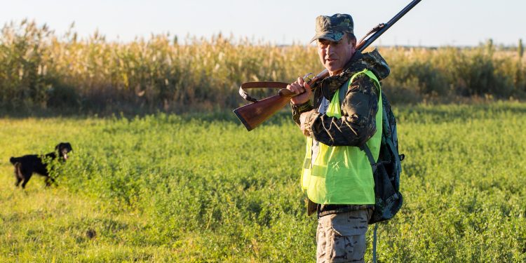 Why the JJ Lares Hybrid is Ideal for Beginner and Advanced Duck Hunters