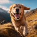 The Best Golden Retriever Grooming Techniques for a Healthy Coat