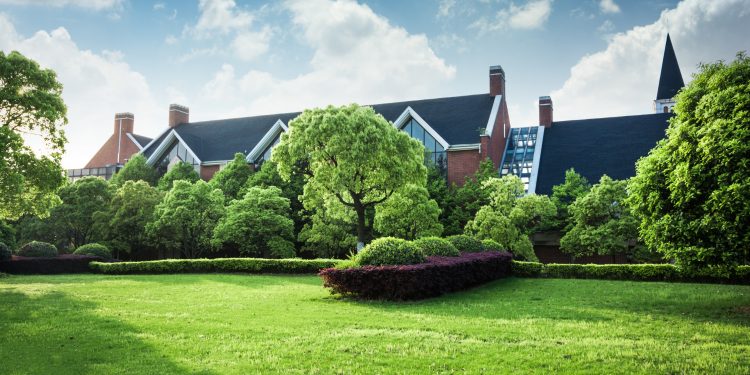 Transform Your Outdoor Spaces with Professional Landscape Design Services in Goodyear, AZ