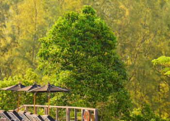 Sénnya Resorts: The Premier Hotel in Belihuloya for a Luxurious Nature Escape