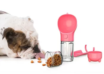 Choosing the Perfect Portable Dog Feeder for Every Size