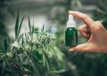 Understanding CBD: Benefits, Uses, and Science Behind Cannabidiol
