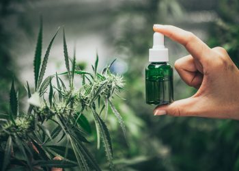 Understanding CBD: Benefits, Uses, and Science Behind Cannabidiol