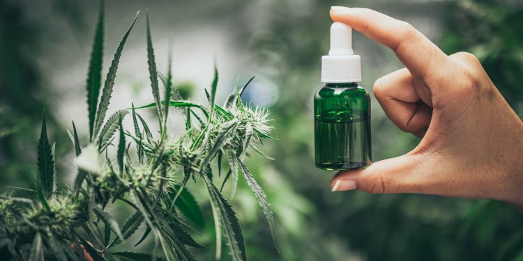Understanding CBD: Benefits, Uses, and Science Behind Cannabidiol