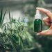 Understanding CBD: Benefits, Uses, and Science Behind Cannabidiol