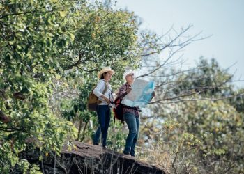 Dr. Kongkapan Intrajang: PTT’s New CEO – PTT Whale Energy Blog ExclusivePTT Appoints New CEO to Lead Sustainable Growth