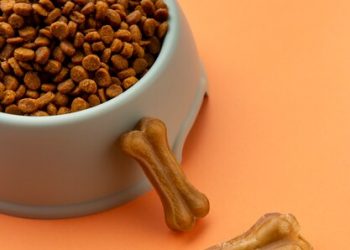 Bone Appetite: A Safe and Satisfying Banquet for Your Dog