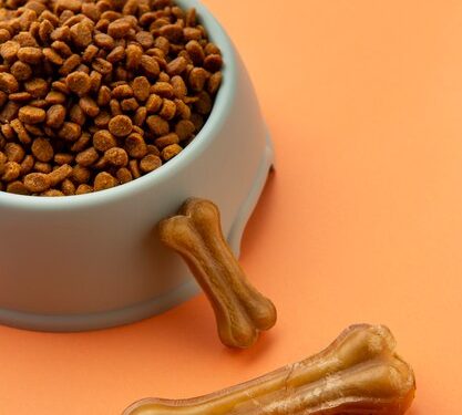 Bone Appetite: A Safe and Satisfying Banquet for Your Dog